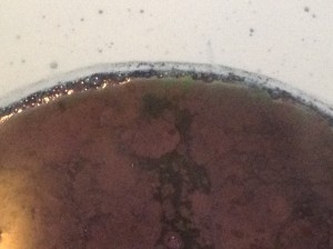 red scum floating on a dark liquid with a green tinge around the edges