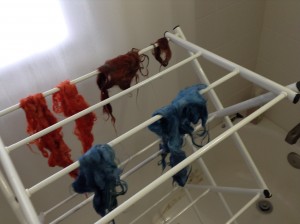 Madder, indigo, and madder+indigo dyed wool hanging on a laundry rack to dry
