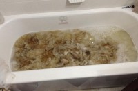 photo of a bathtub containing wool that looks very brown due to dirt